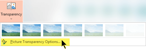 Picture Transparency Options let you choose a custom level of opacity for a picture