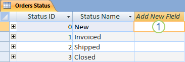 Datasheet in Access with Add New Field column