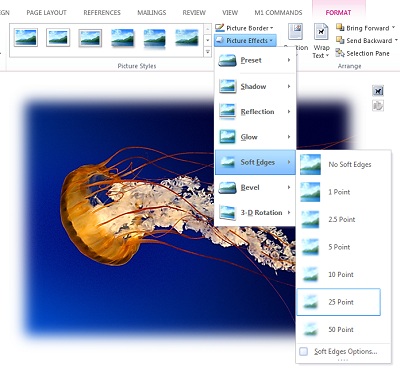 Use Picture Effects to add shadow, soft edges, bevels or other visual effects.