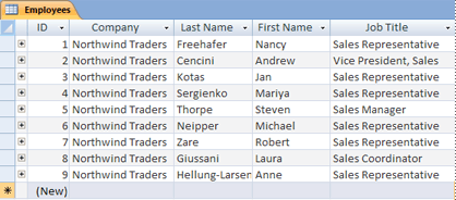 Employees table in Datasheet view