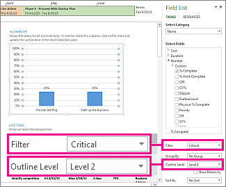 Project Overview report with Chart Data pane open