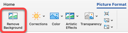 The Remove Picture option is on the Picture Format tab in Office apps.