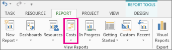 Costs button on the Report tab