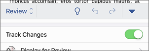 Turn Track Changes on or off