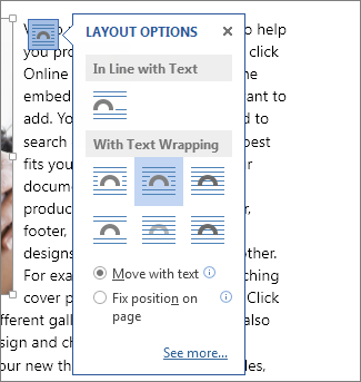 Layout Options box