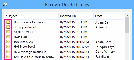 All item types have the same icon in the Recoverable Items folder