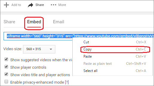 Copy the iFrame embed code