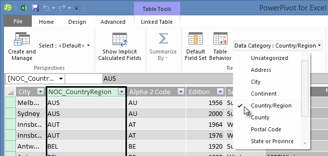 Data Categories in Power Pivot