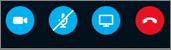 Skype tools showing the following icons: camera, microphone, present screen, phone handset