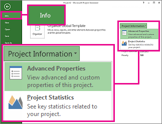 Project Information menu with Advanced Properties highlighted