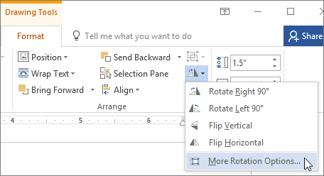 More Rotation Options on the Rotate menu