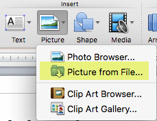 On Home tab of the ribbon, under Insert, click Picture > Picture from File.