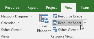 Resource Sheet view