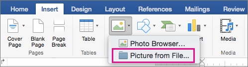 On the Insert tab, Picture from File is highlighted.