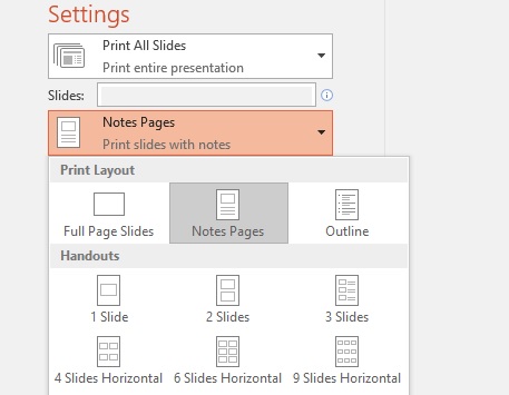 screenshot of print notes option