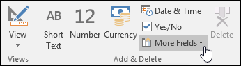 Screesnhot of Add & Delete group on the Fields ribbbon tab.