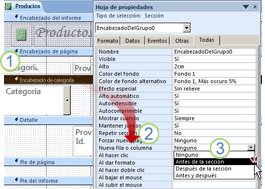 agregar un salto de página a un informe agrupado