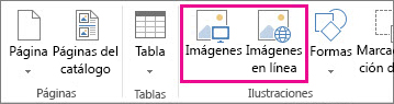 Captura de pantalla de las opciones de Insertar imágenes en el menú Insertar de Publisher.