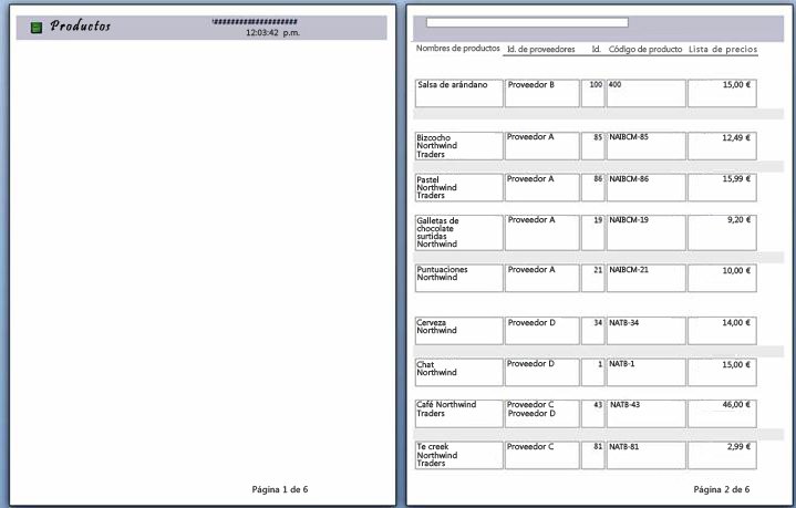 vista previa de las páginas del informe con salto de página aplicado