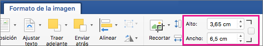Pestaña Formato de imagen con los cuadros Alto y Ancho resaltados.