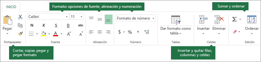 Pestaña Inicio con los botones Cortar, Copiar, Pegar y Pegar con formato; opciones de formato, como Fuente, Alineación y Formatos de número; insertar filas o columnas; sumar y ordenar