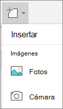 Selecciona Insertar fotos >