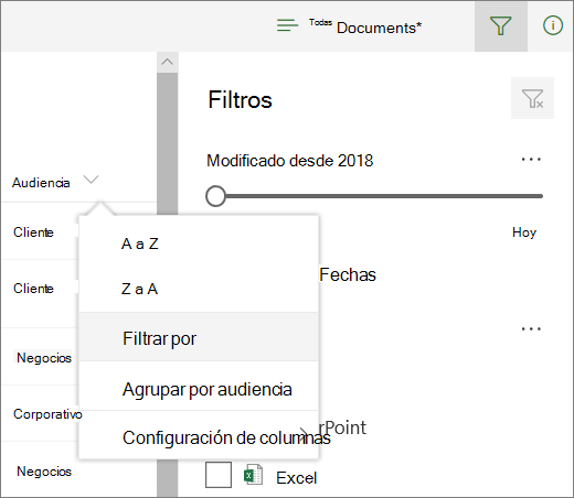 Haga clic en Filtrar por para abrir el panel de filtro