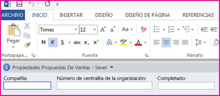 El Panel de información del documento muestra cuadros de texto en un formulario para recopilar metadatos de los usuarios