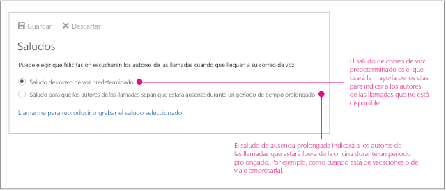 Las dos opciones de saludos son estándar y de ausencia prolongada