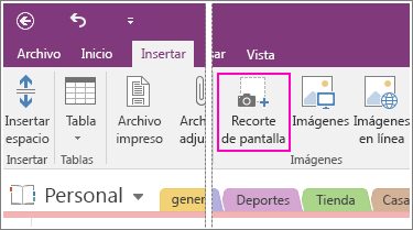 Captura de pantalla del botón Insertar recorte de pantalla en OneNote 2016