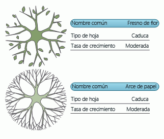 Gráficos de datos muestra los datos relativos a dos formas al mismo tiempo.