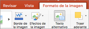 Botón Texto alternativo en la cinta de opciones de PowerPoint para Mac