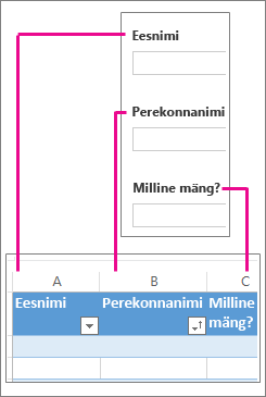 Küsitluse küsimused vastavad töölehe veergudele