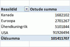 PivotTable-liigendtabeli näide