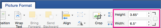 Picture Format tab with Height and Width boxes highlighted.