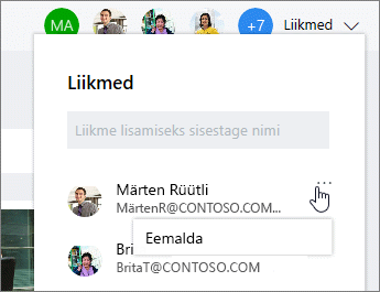 Plaanist liikmete eemaldamine