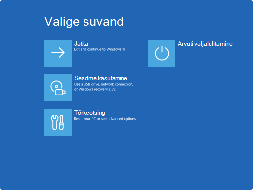 Kuvatõmmis Windows RE-st – valige suvand.