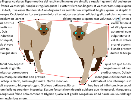 Unedited wrap points