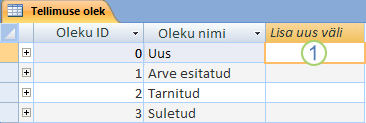 Andmeleht Accessis koos veeruga Lisa uus väli