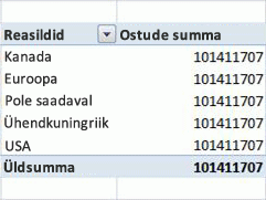 PivotTable-liigendtabeli näide