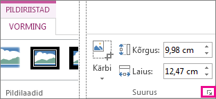 Dialoogiboksi käiviti menüü Pildiriistad alammenüü Vorming jaotises Suurus