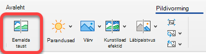 Nupp Eemalda pilt asub Office'i rakenduste menüüs Pildivorming.