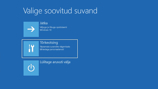 Suvandi valimise kuva Windowsi taastekeskkonnas.
