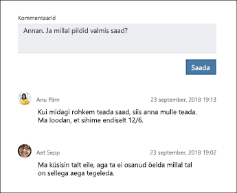 Planneri tööülesande jaotise kommentaarid pilt