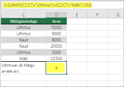 Näide 1: valemisse pesastatud SUM ja IF