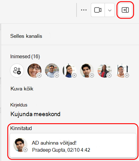 Kanali üksikasjade paanil kuvatakse kinnitatud postitus.