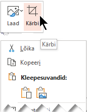 Nupp Kärbi kuvatakse hüpikmenüü kohal või all