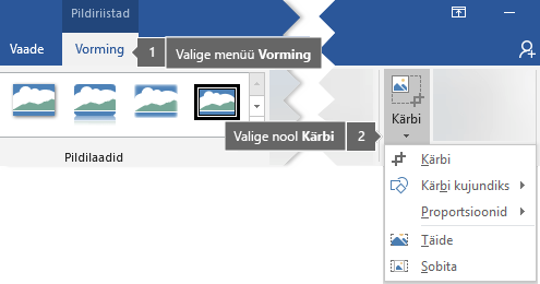 Nupp Kärbi menüü Pildiriistad alammenüüs Vorming