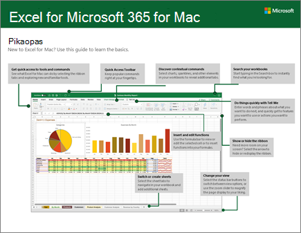 Excel 2016 for Macin pikaopas