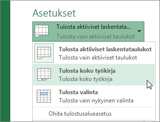 Valitse Asetukset-kohdassa Tulosta koko laskentataulukko